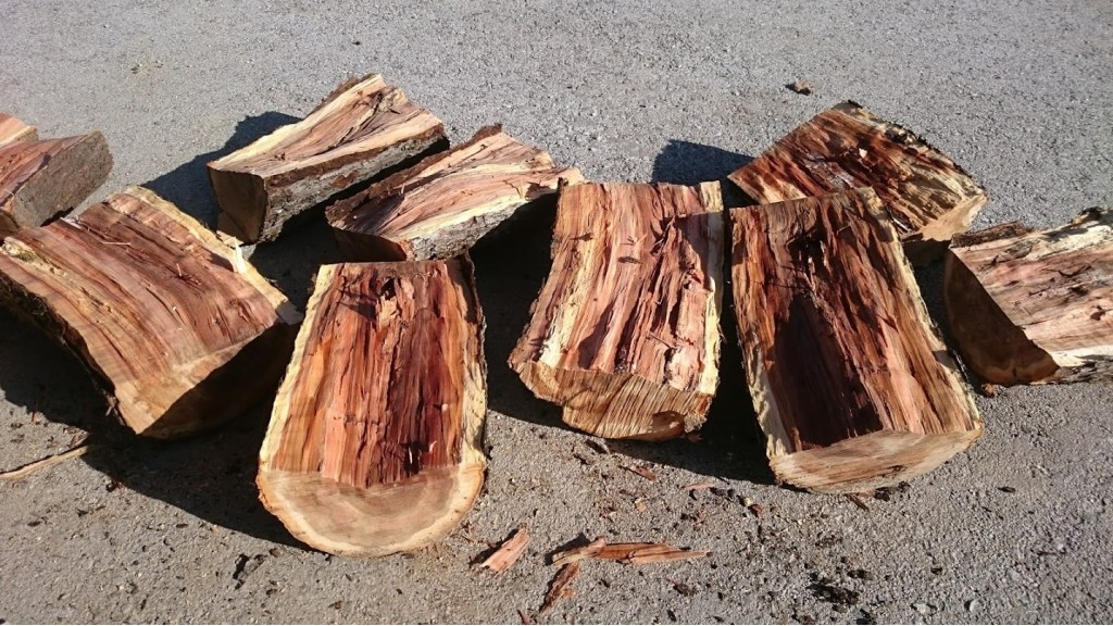 Moist or fresh wood vs dry wood?